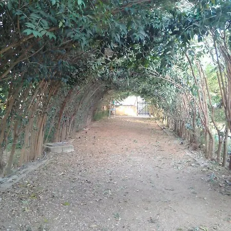 The White Rabbit Eco-lodge Spacious